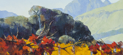 Autumn vines, Stellenbosch | 2017 | Oil on Canvas | 51 x 57 cm